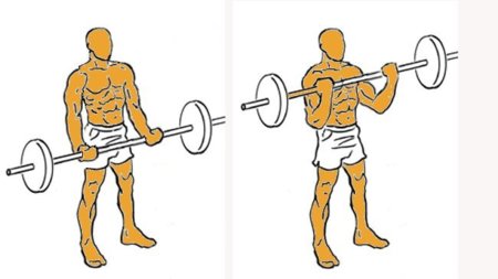 Imagen de Bíceps con barra parado