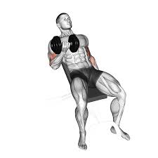 Imagen de Curl de bíceps en banco inclinado