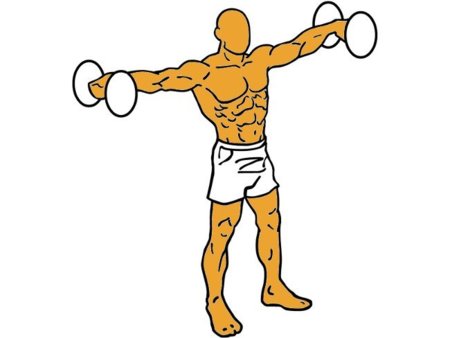 Imagen de Elevaciones laterales