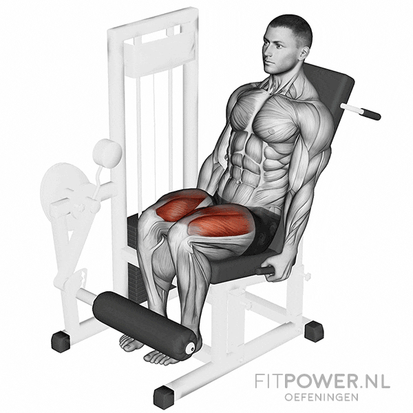 Imagen de Extensiones en camilla (cuádriceps)